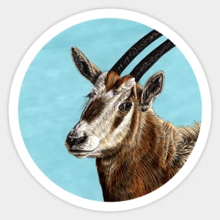 Scimitar-horned oryx illustration Sticker